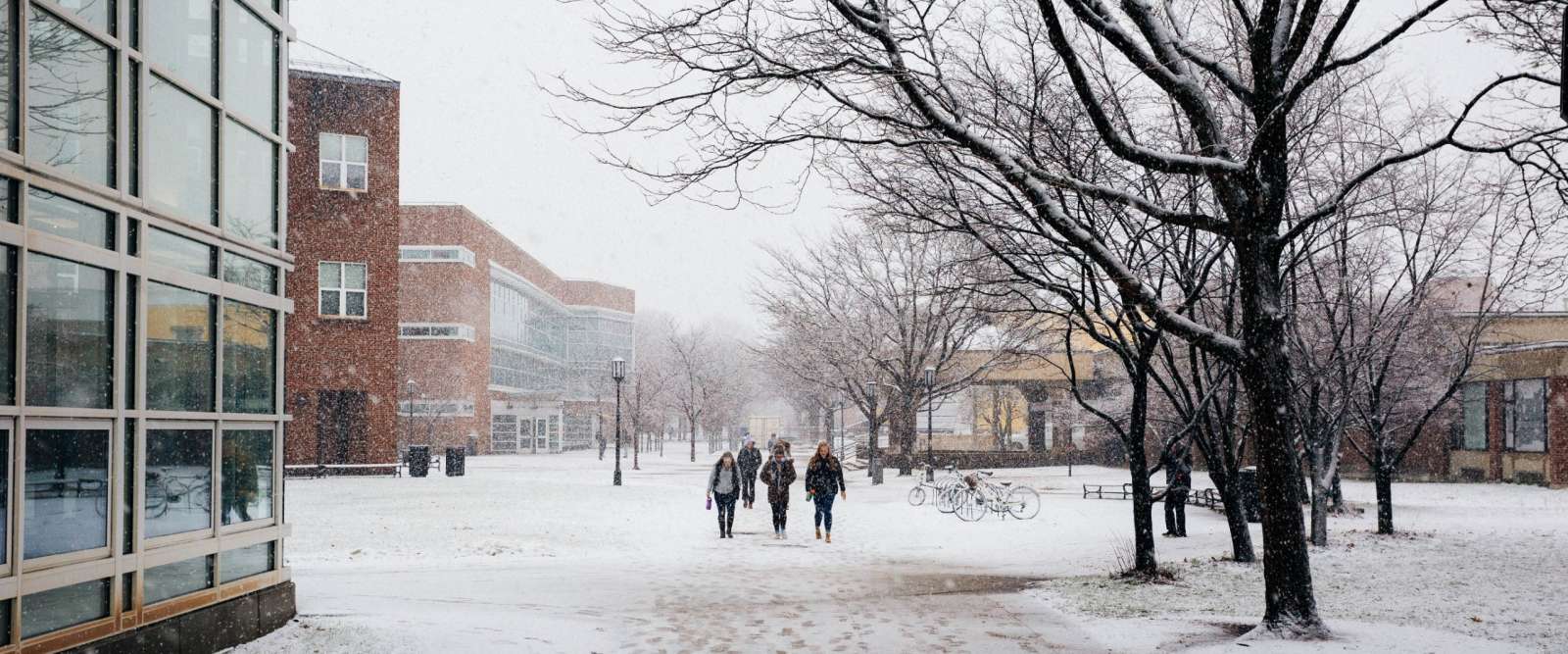 Snowing on Appian Way