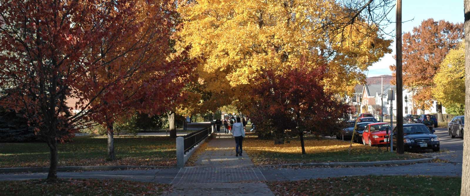 Fall, Sidewalk on Main Street